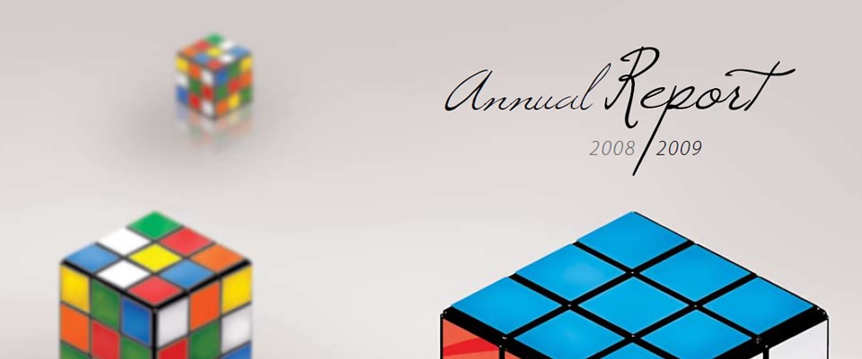 Annual Report 2008 - 2009